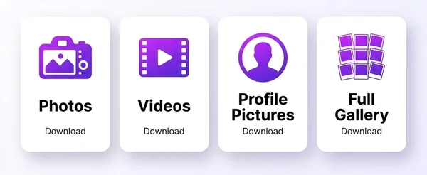 VSCO download types - photos, videos, profile pictures, and full gallery bulk downloads